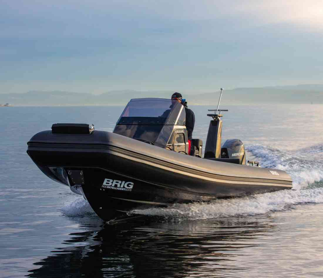 Eagle | rib brig eagle